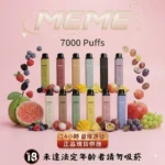 MEME 7000 puffs 拋棄式電子煙-MEME電子煙官網-韓國爆款